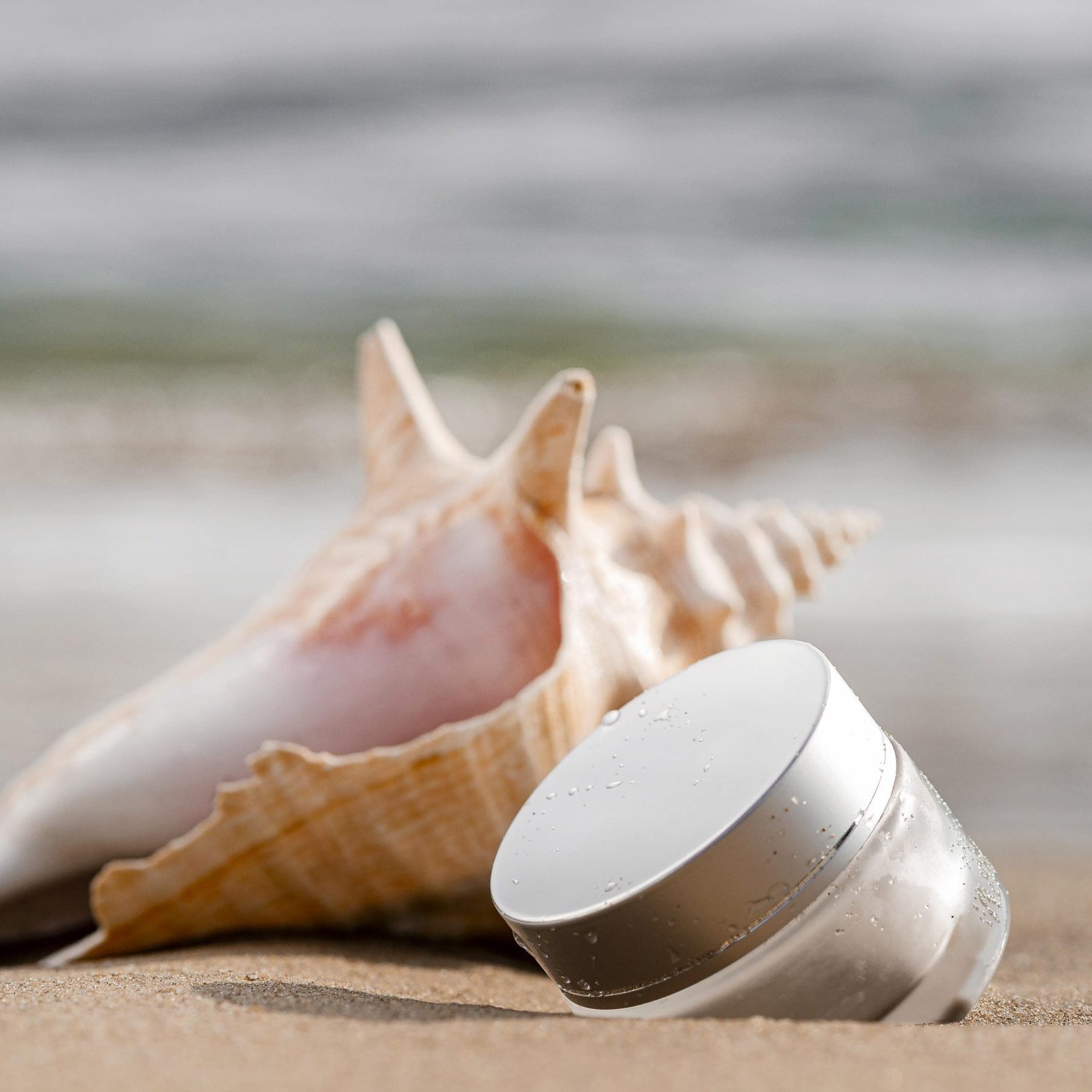 SOL DE JANEIRO - Coquillage